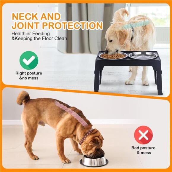 Elevated Dog Bowls, Raised Dog Bowl with 2 Stainless Steel Dog Food Bowls - Picture 13 of 16